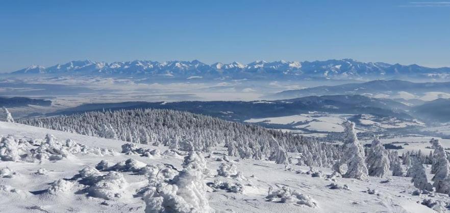 Hotel Restauracia Gol Oravske Vesele Zewnętrze zdjęcie